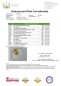 Preview: 8% CBD Hanftropfen Öl Lemon |10ml